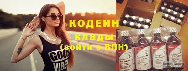 индика Осташков