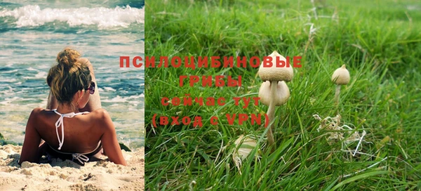 индика Осташков
