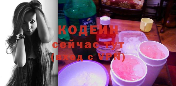 индика Осташков