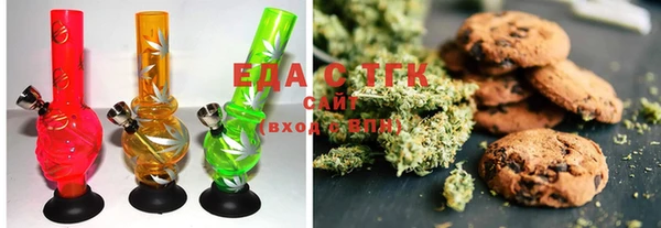 индика Осташков