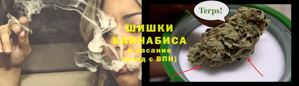 индика Осташков