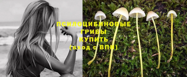 твердый Осинники
