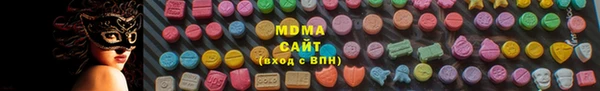 индика Осташков