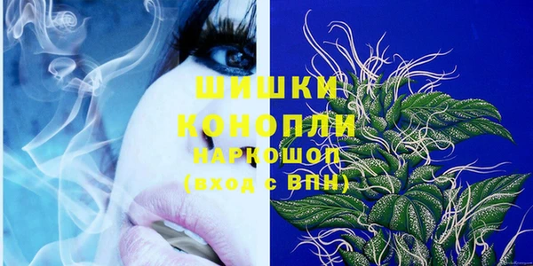 индика Осташков
