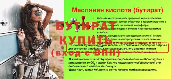 индика Осташков