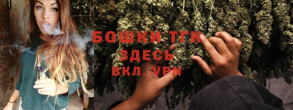 прущие крисы Пересвет