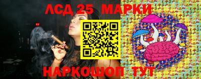шишки Аргун