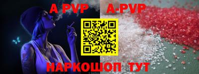 шишки Аргун