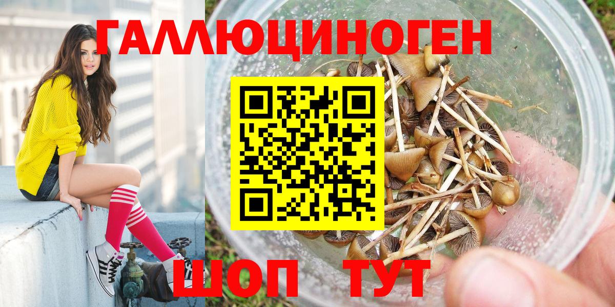 Галлюциногенные грибы Cubensis Тобольск