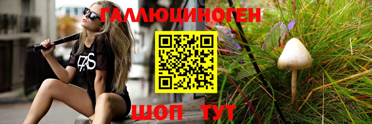 Галлюциногенные грибы прущие грибы  Вход с VPN  Тобольск 